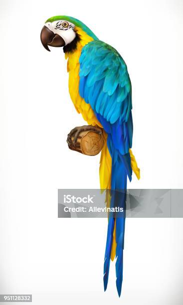 Ara Parrot Macaw Photo Realistic 3d Vector Icon Stock Illustration - Download Image Now - Bird, Illustration, Parrot