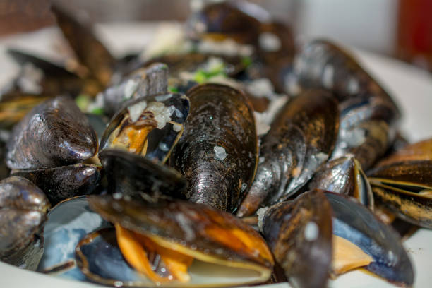 istock Closeup on steamed  mussels on white plate dinner angle view 951128572