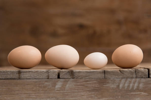 istock Eggs of different size and colour, from different birds on wooden floor. 951132338