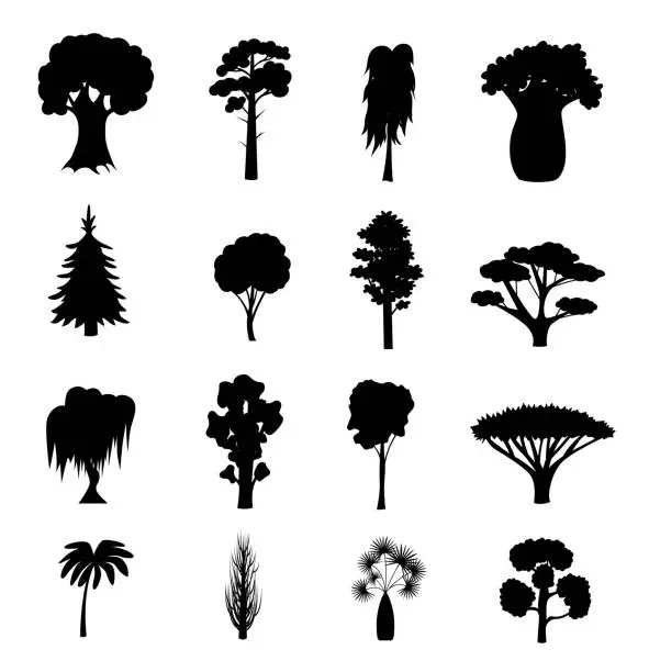 Vector illustration of Silhouette Black Different Tree Types Icons Set. Vector