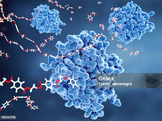 Petase Molecules Breaking Down Petplastic Stock Photo - Download Image Now - Enzyme, Molecule, Protein
