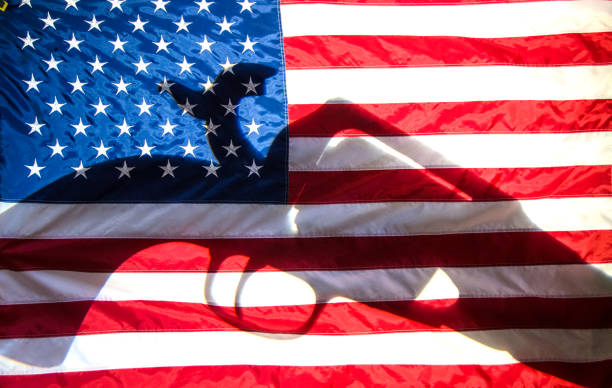 istock American flag with firearm semi-automatic pistol shadow 951148908