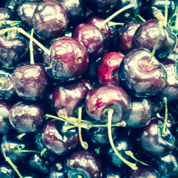 ripe berries cherries