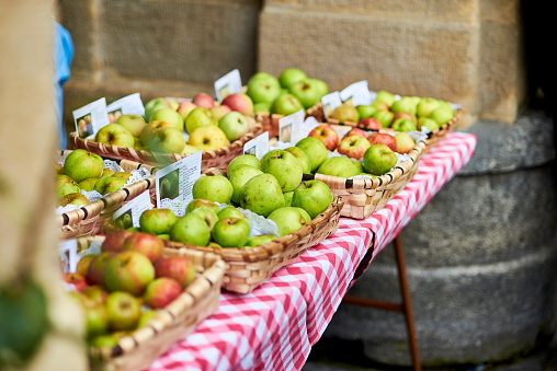 San Sebastian, Spain - September 2, 2017. Ecological apples in the market of Sagardo Eguna (Cider day) in Plaza Constitucion square of Donostia.