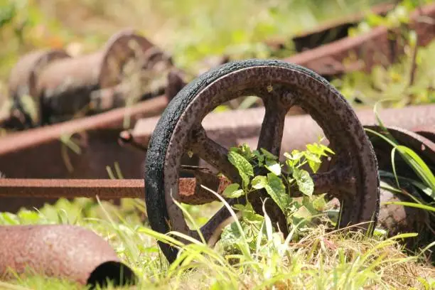 Old rusty wagon wheel abandoned in the bushes, relics from times past