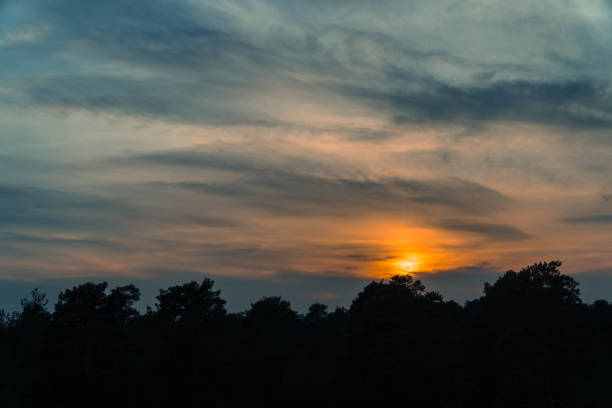 istock Sunset. Sunset on the background of a tree with birds 951162490