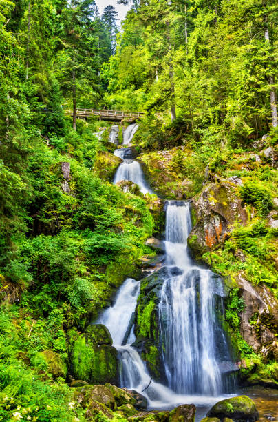 istock Triberg Falls, one of the highest waterfalls in Germany 951163376
