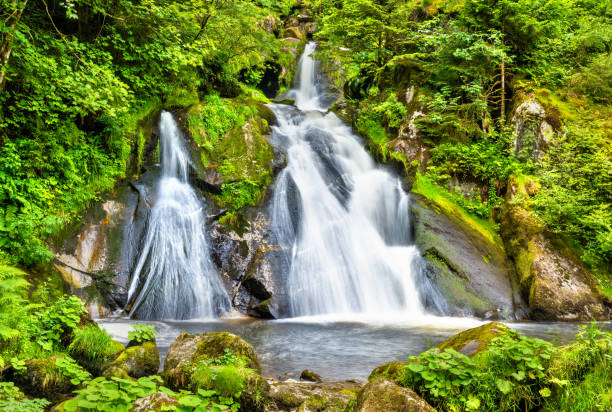 triberg falls, uma das cachoeiras mais altas na alemanha - black forest waterfall triberg landscape - fotografias e filmes do acervo