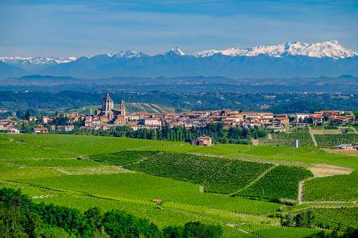 Vineyards in the Langhe, a hilly area mostly based on vine cultivation and well known for the production of Barolo wine. Piedmont, Italy