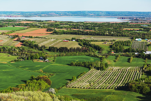 Elevated view of farmlands in the Annapolis Valley.