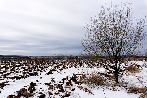 plowed field with melting snow in early spring, with a village in the distance and a city on the horizon