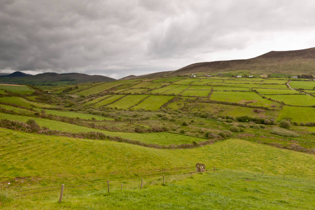 istock Rural Landscape with Clouds, Dingle Peninsula 951178444