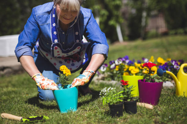 istock She likes her garden 951178870