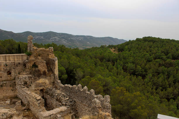 istock Castle walls in ruins against a forest 951186134