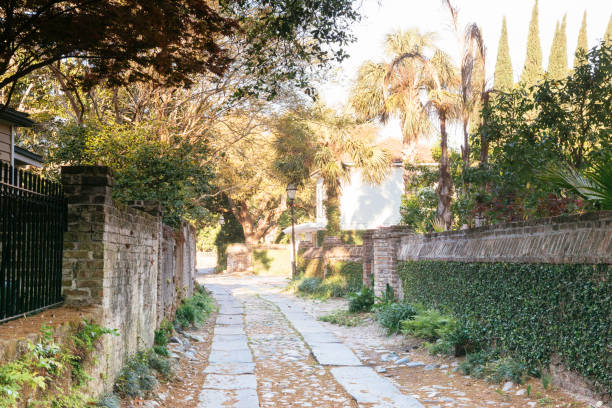 istock Charleston Longitude Lane South Carolina Background 951186788