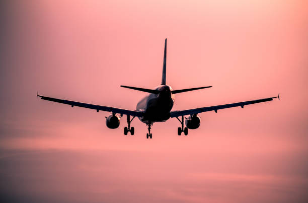 istock Airplane landing at sunset 951189422