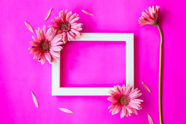 istock Empty frame and  gerbera flowers on colorful background 951192316