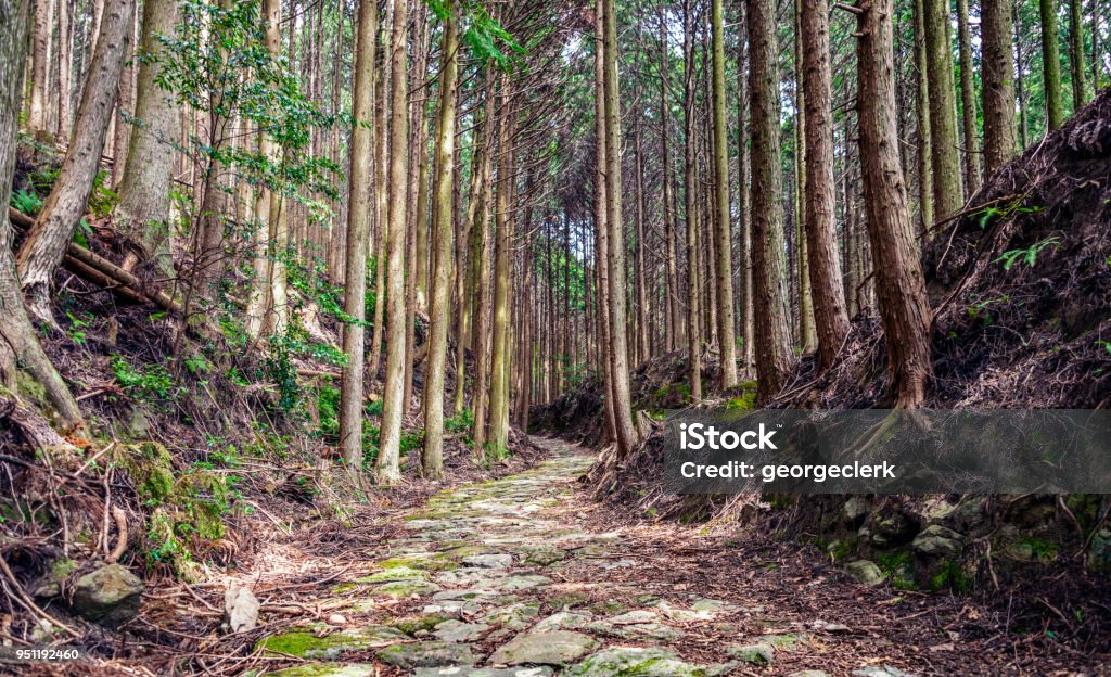 Winding Forest Footpath A stone lined curving path in Japan, part of the ancient Kumano Kodo pilgrimage route. Kumano Kodo Stock Photo