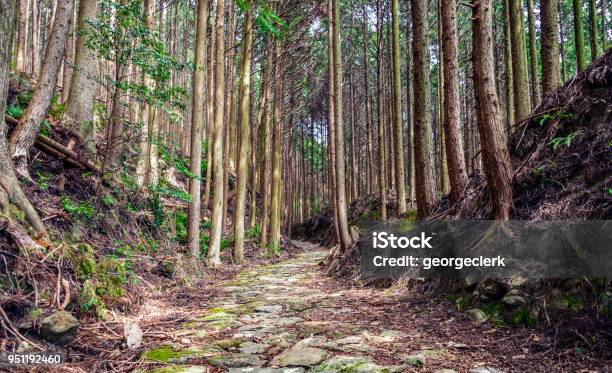 Winding Forest Footpath Stock Photo - Download Image Now - Kumano Kodo, Footpath, Forest