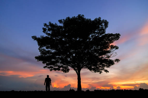 istock Silhouettes of people and trees. 951201176