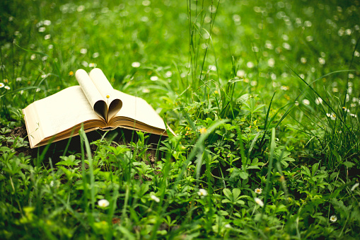Open book in grass