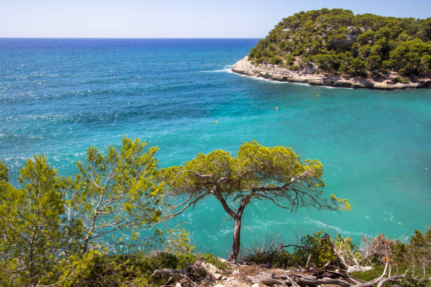 istock Panorama view of Cala Mitjana, Menorca, Spain 951204928