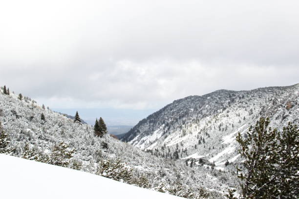 istock snow-covered mountains in Bulgaria 951206086