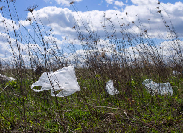 istock Plastic bags dumped in the meadow 951211262