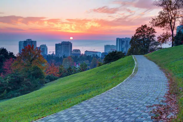 Photo of Arboretum and buildings on the background of sunset, Sochi, Russia