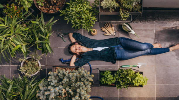 istock Enjoying my rooftop garden 951214098