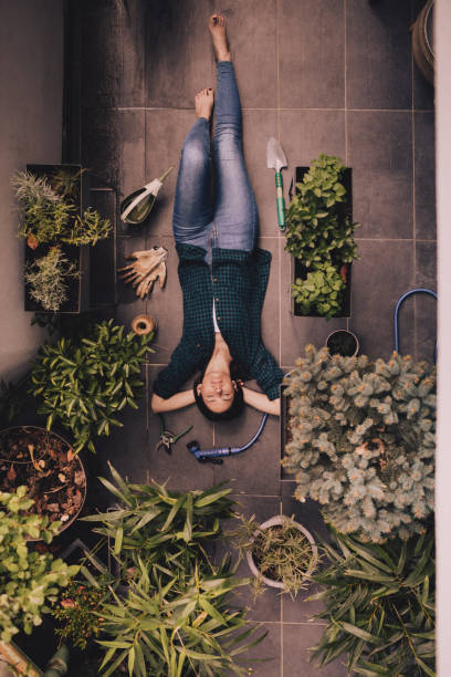 istock My lovely rooftop garden 951214412