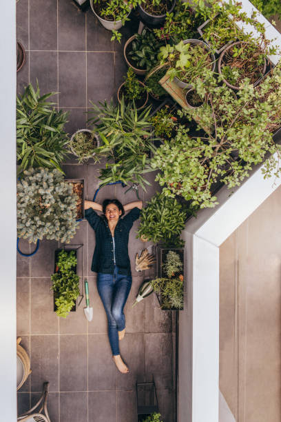 istock My lovely rooftop garden 951214690