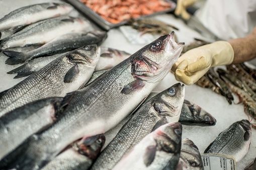 Fresh market fish on ice being prepared for sale