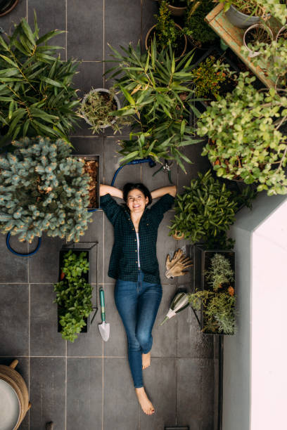 istock My lovely rooftop garden 951214880