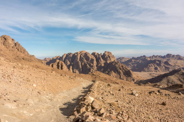 istock sinai desert nature 951215894
