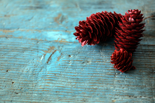 Red pine cone on wood background