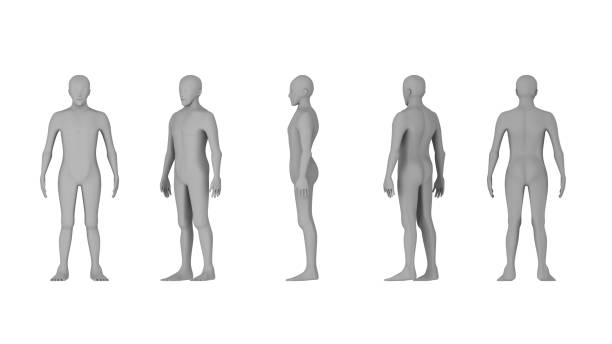 istock Wire frame of human bodies. Polygonal model on white background. artificial intelligence concept, 3d illustration 951223740