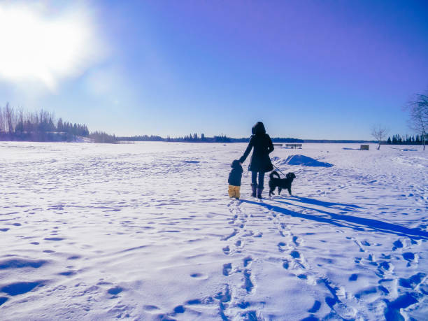 istock Mother and Son Walking Dog in Snow 951233722