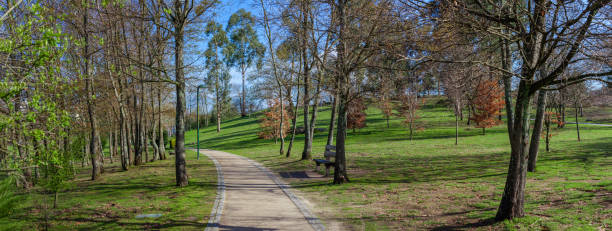 istock Empty dirt path, track, trail or pathway through the trees and green grass lawn in Parque da Devesa Urban Park. 951233994