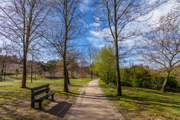 istock Garden or park bench near an empty dirt path, track, trail or pathway through the trees and green grass lawn in Parque da Devesa Urban Park. 951234186
