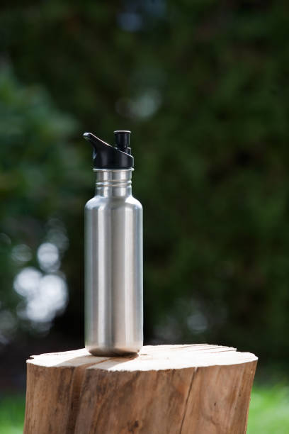 istock Stainless steel water bottle on tree stump 951242064