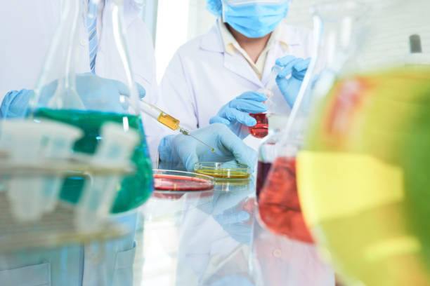 istock Working on Brand-New Vaccine 951245906