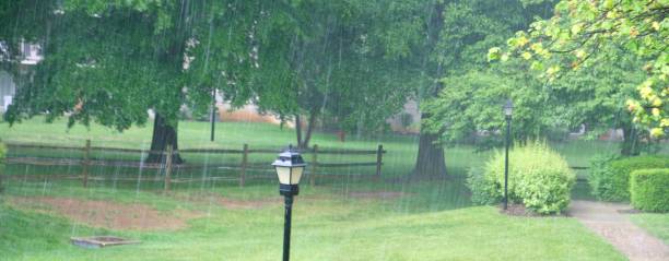 istock Heavy rain in the park 951265554