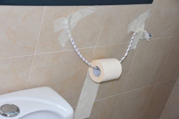 istock Toilet paper holder improvisation 951267196