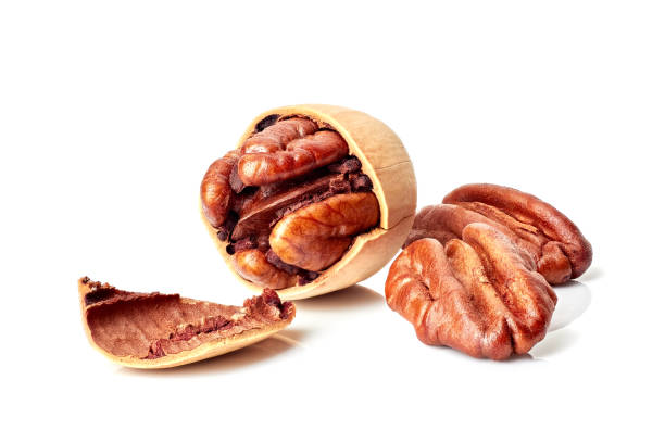 피칸 너트에 인명별 - pecan nut isolated protein 뉴스 사진 이미지