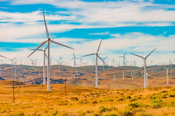 wind turbine farm in the mountains of tehachapi california ( p) - tehachapi imagens e fotografias de stock