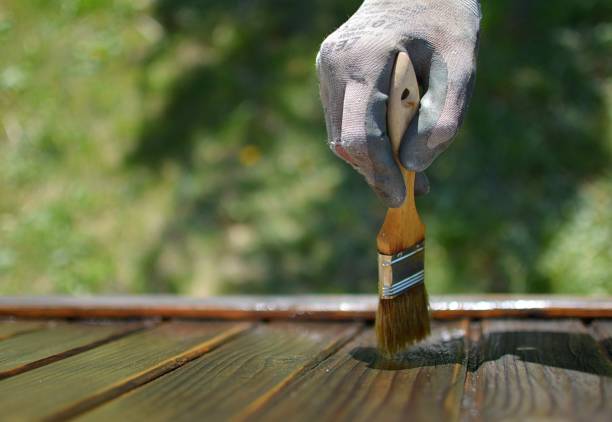 istock garden  woodcare a sunny day 951276418