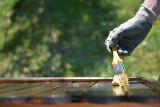 istock garden  woodcare a sunny day 951276482