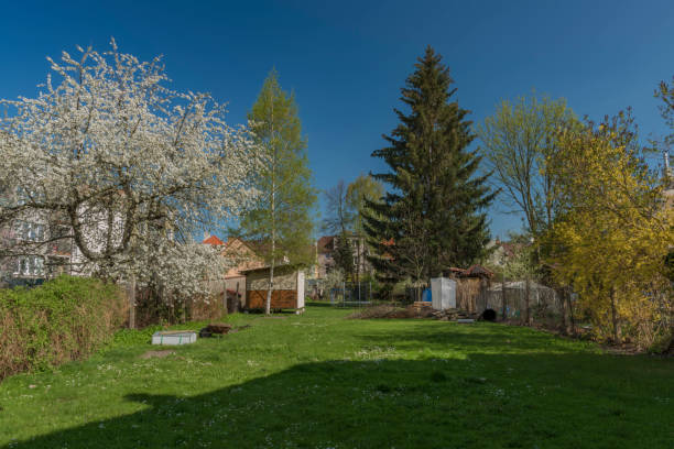 istock Garden in Ceske Budejovice city in spring time 951279940