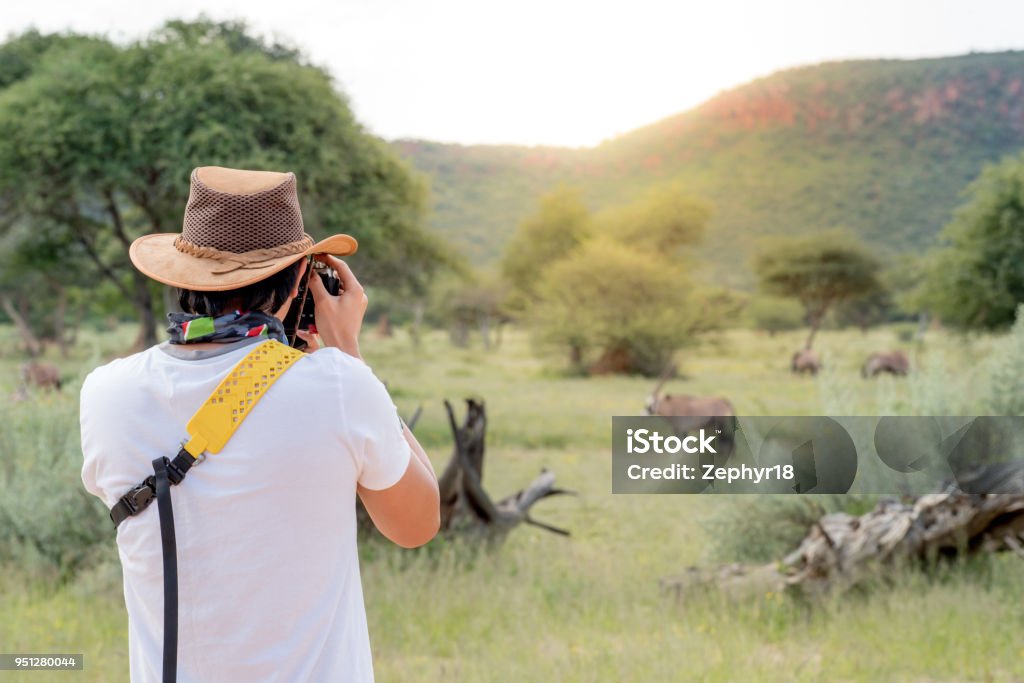 Young man traveler and photographer taking photo of Oryx, a type of wildlife animal in African safari Young man traveler and photographer taking photo of Oryx, a type of wildlife animal in African safari. Wildlife photography concept Safari Stock Photo